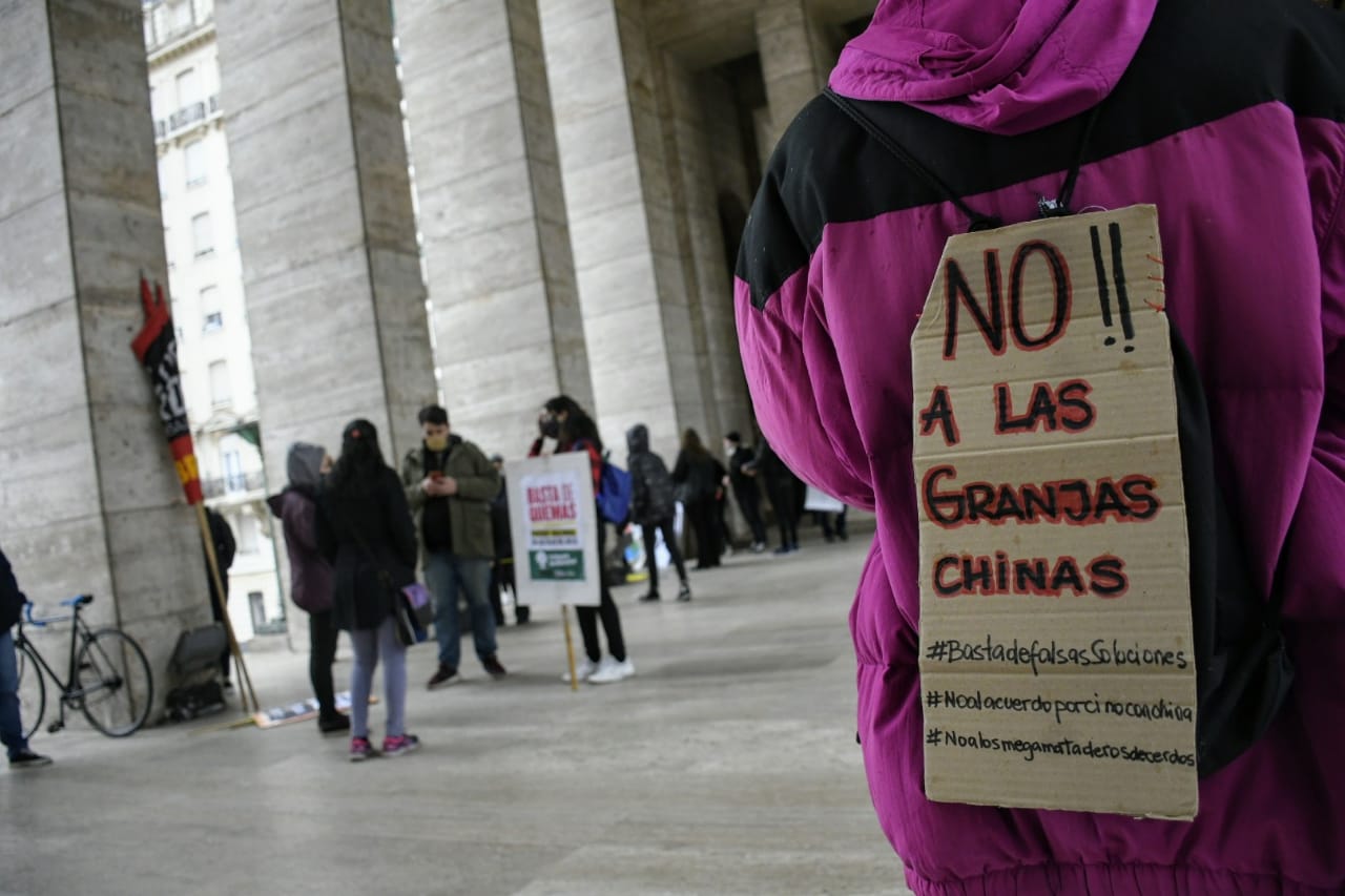 Califican de "ecocidio" el acuerdo porcino entre Argentina y China